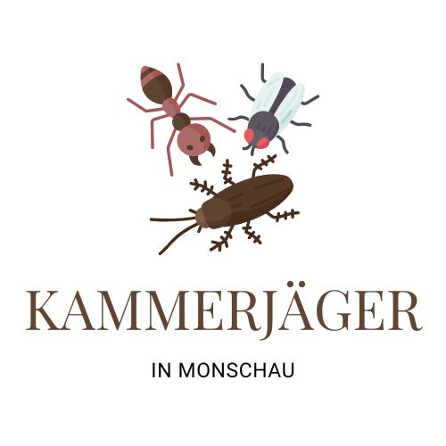 Kammerjäger in Monschau - Wespen - Ameisen - Ratten - Mäuse - Silberfische - Motten - Fliegen - Marder - Tauben - Schädlingsbekämpfung - Schädlinge bekämpfen